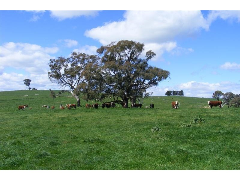 2928 Hobby’s Yards Road, Blayney NSW 2799