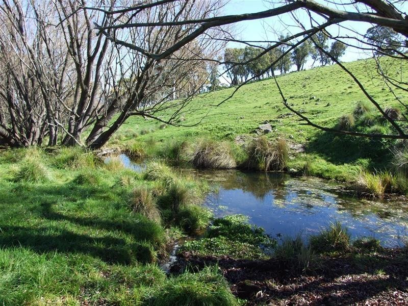 310 Sewells Creek Road, Oberon NSW 2787