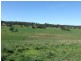 310 Sewells Creek Road, Oberon NSW 2787