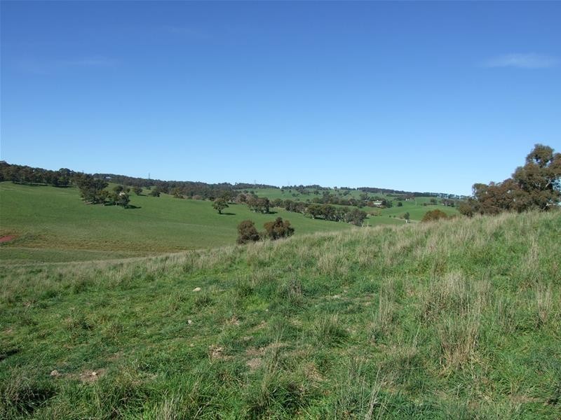 310 Sewells Creek Road, Oberon NSW 2787