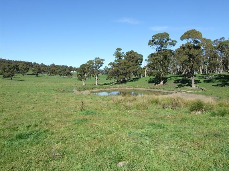 310 Sewells Creek Road, Oberon NSW 2787