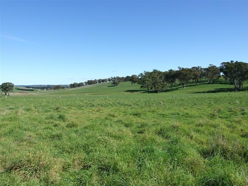 310 Sewells Creek Road, Oberon NSW 2787