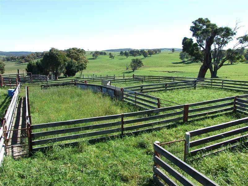 310 Sewells Creek Road, Oberon NSW 2787