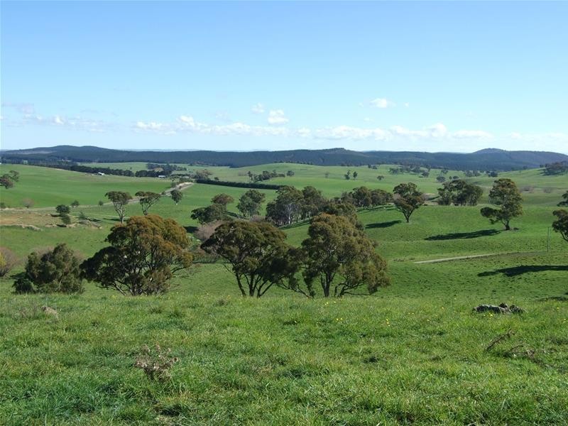 310 Sewells Creek Road, Oberon NSW 2787