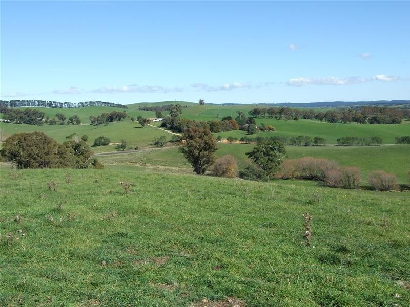 310 Sewells Creek Road, Oberon NSW 2787