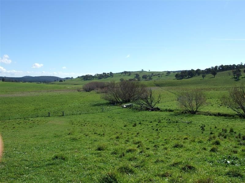 310 Sewells Creek Road, Oberon NSW 2787