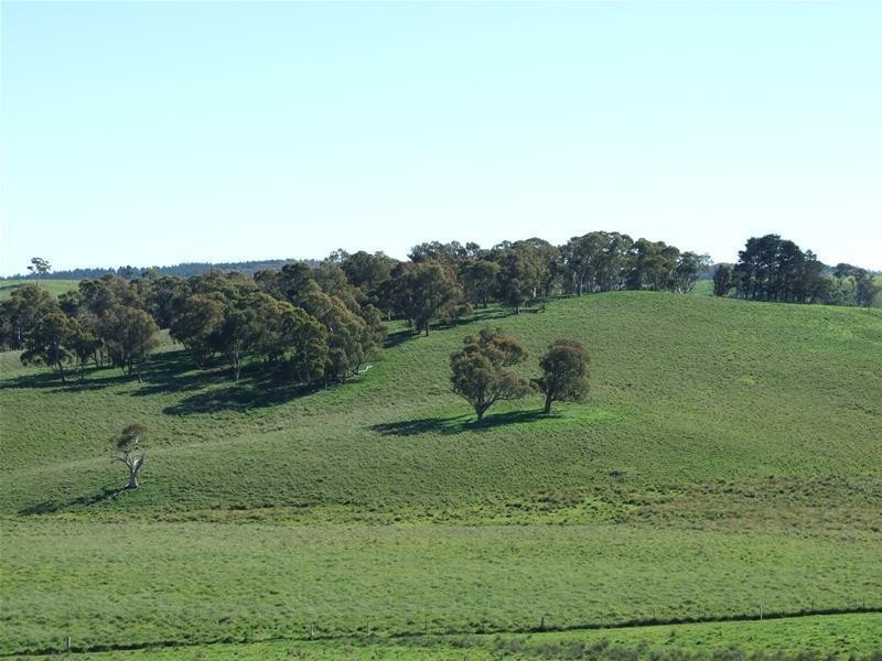 310 Sewells Creek Road, Oberon NSW 2787