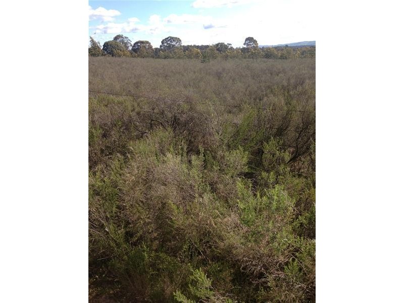 388 Schumakers Road, Rockley NSW 2795