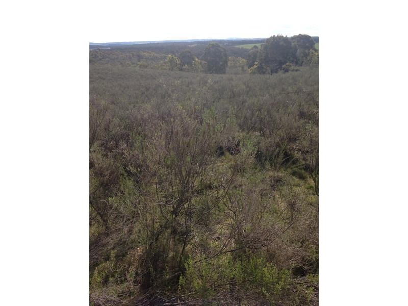 388 Schumakers Road, Rockley NSW 2795