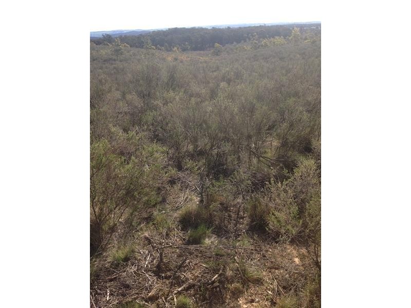 388 Schumakers Road, Rockley NSW 2795