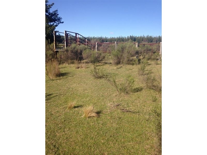 388 Schumakers Road, Rockley NSW 2795