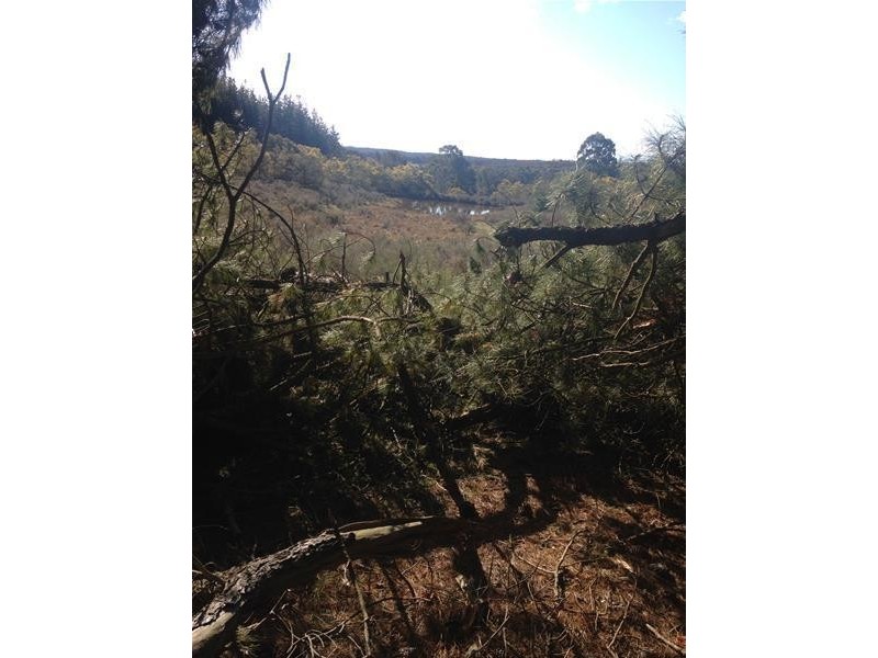 388 Schumakers Road, Rockley NSW 2795