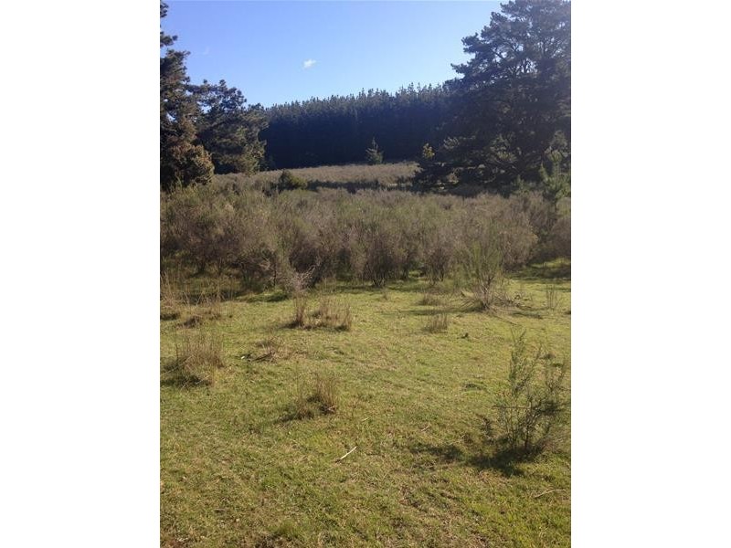 388 Schumakers Road, Rockley NSW 2795