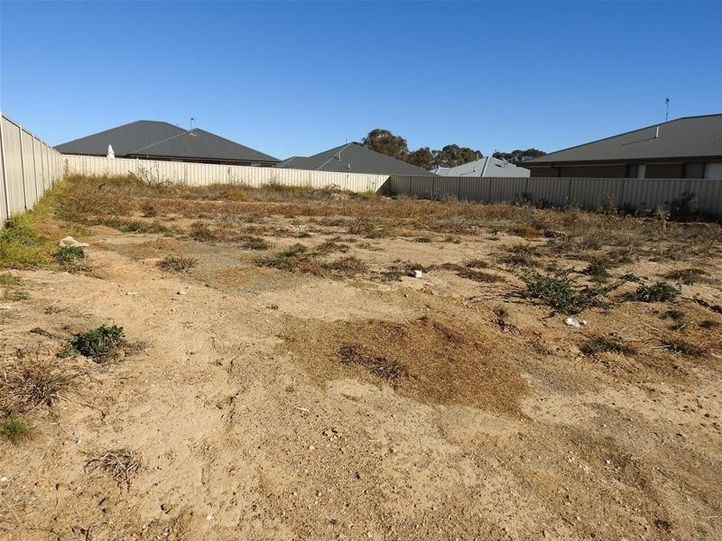 12 Newport Street, Orange NSW 2800