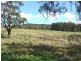 Dowdells Road, Hampton NSW 2790