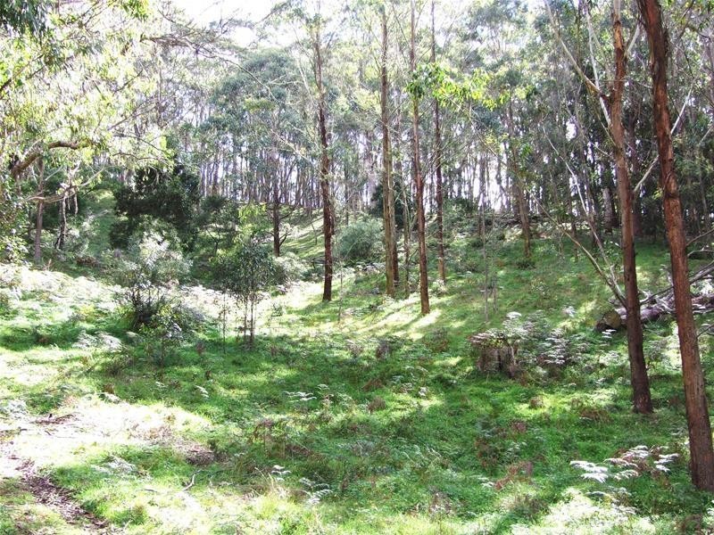 Dowdells Road, Hampton NSW 2790