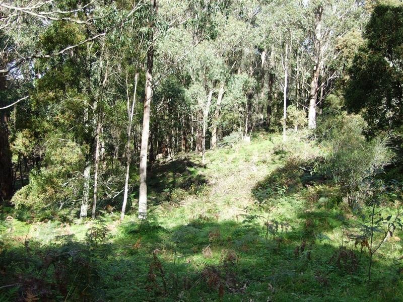 Dowdells Road, Hampton NSW 2790