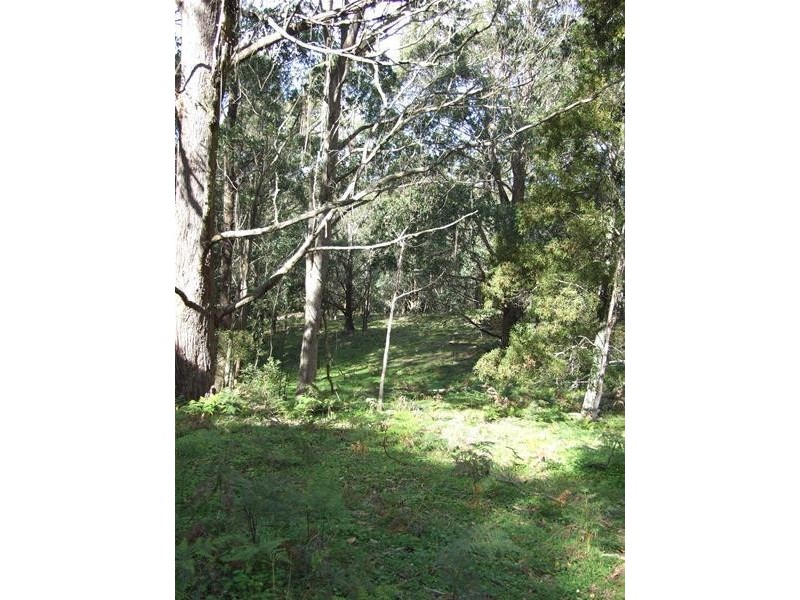 Dowdells Road, Hampton NSW 2790