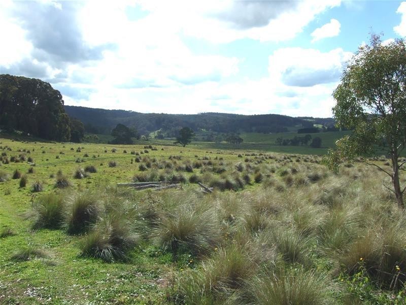 Dowdells Road, Hampton NSW 2790