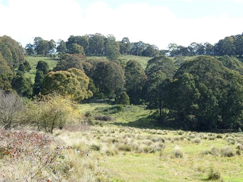 Dowdells Road, Hampton NSW 2790