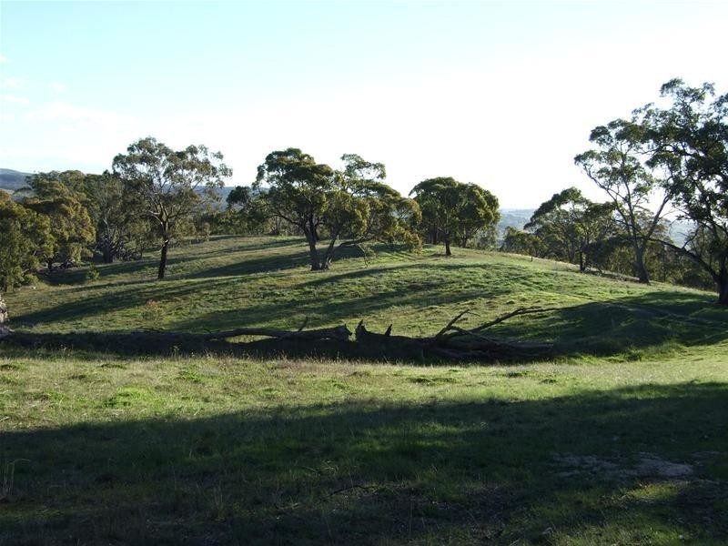 O’connell NSW 2795