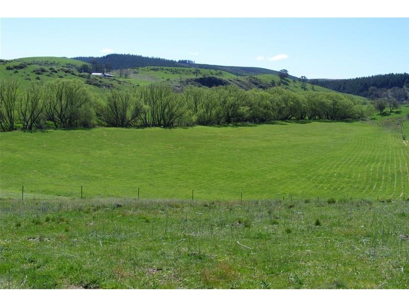 365 Swallows Nest Road, Oberon NSW 2787