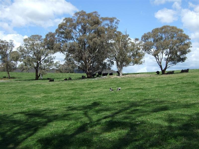 O’connell NSW 2795