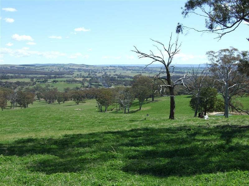 O’connell NSW 2795