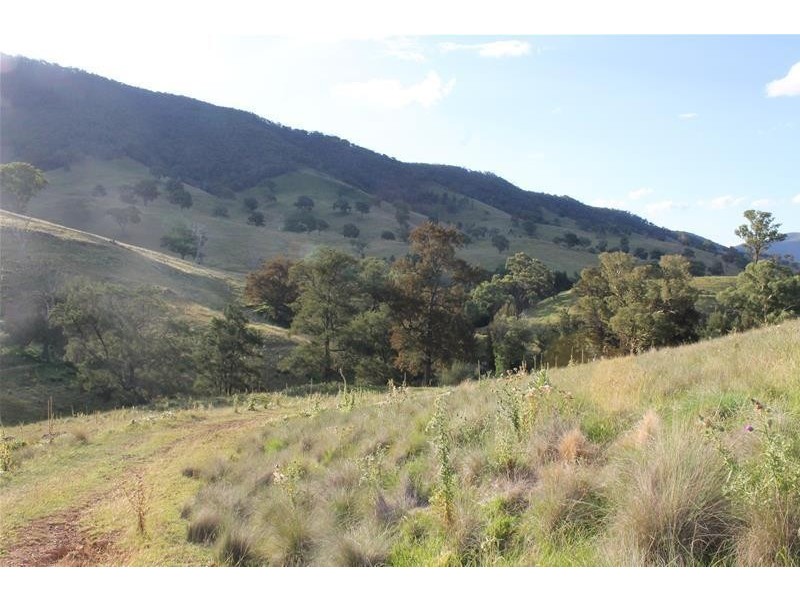 80 Palmers Oaky Road, Palmers Oaky NSW 2795