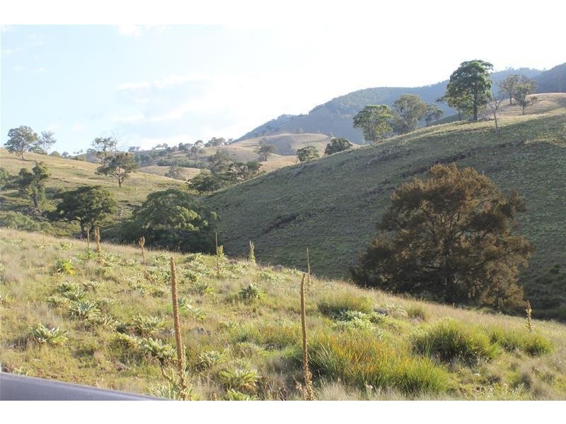 80 Palmers Oaky Road, Palmers Oaky NSW 2795