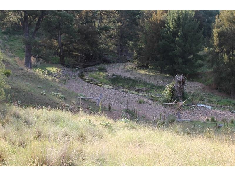 80 Palmers Oaky Road, Palmers Oaky NSW 2795