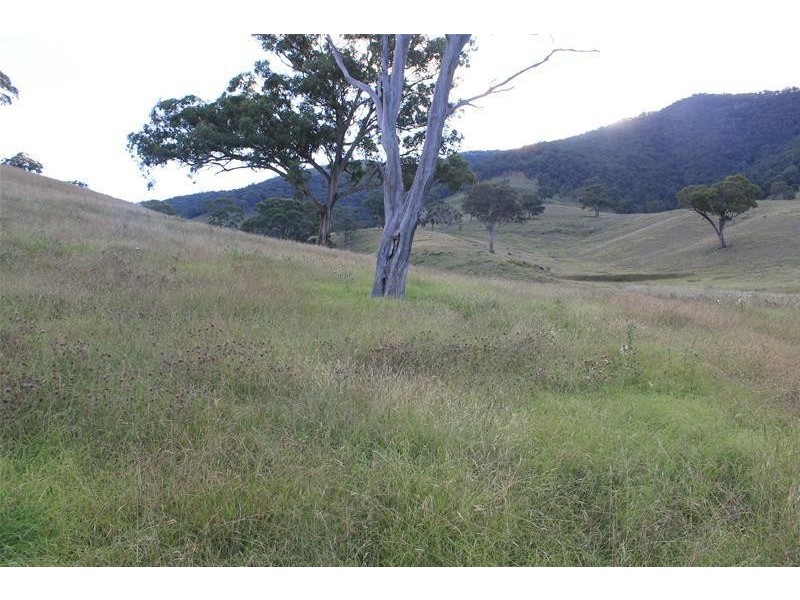 80 Palmers Oaky Road, Palmers Oaky NSW 2795