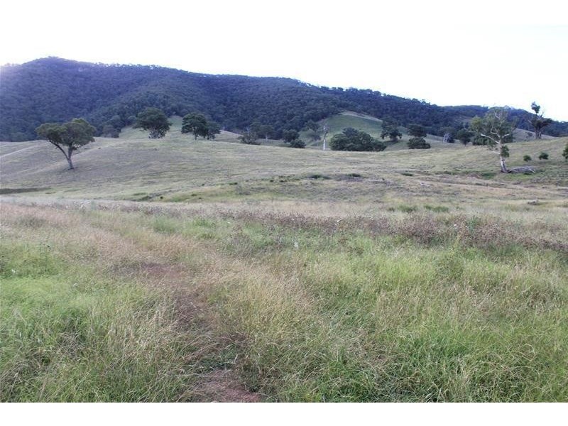 80 Palmers Oaky Road, Palmers Oaky NSW 2795