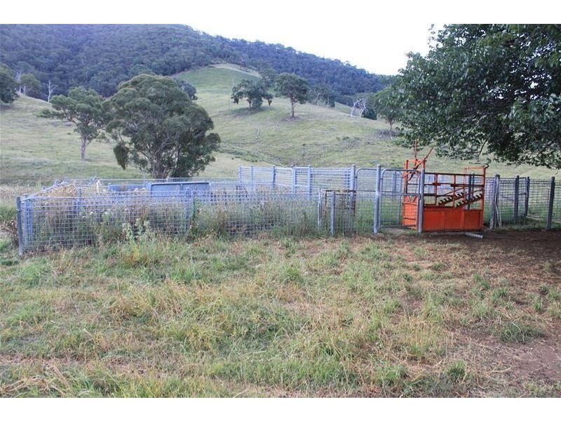 80 Palmers Oaky Road, Palmers Oaky NSW 2795