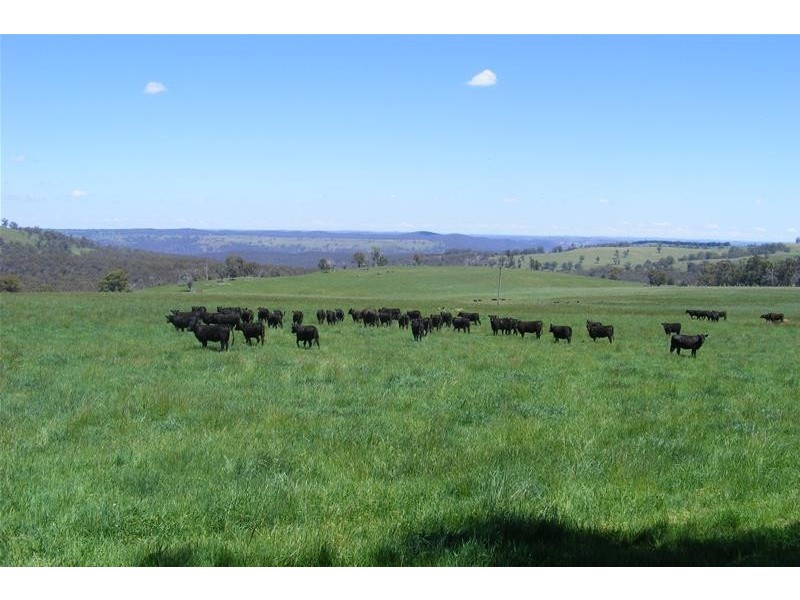 6335 Abercrombie Road, Oberon NSW 2787