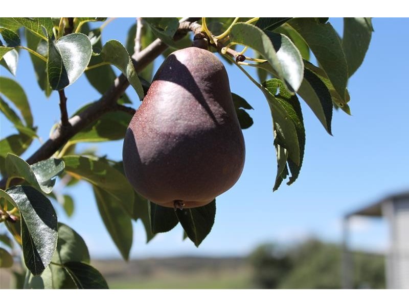 400 O’Connell Road, Oberon NSW 2787