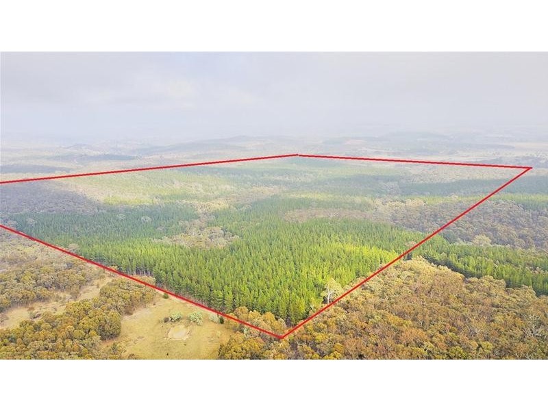 Lots 3 & 49/144 Redbank Road, Triangle Flat NSW 2795