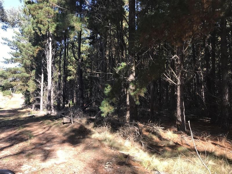 Lots 3 & 49/144 Redbank Road, Triangle Flat NSW 2795