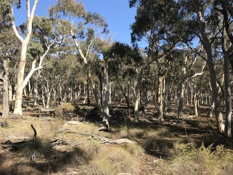 Lots 3 & 49/144 Redbank Road, Triangle Flat NSW 2795