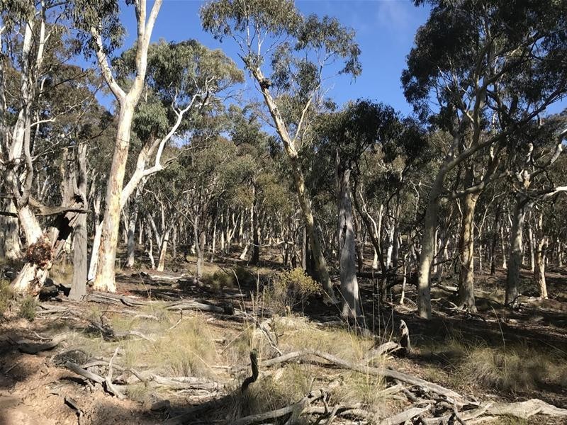 Lots 3 & 49/144 Redbank Road, Triangle Flat NSW 2795