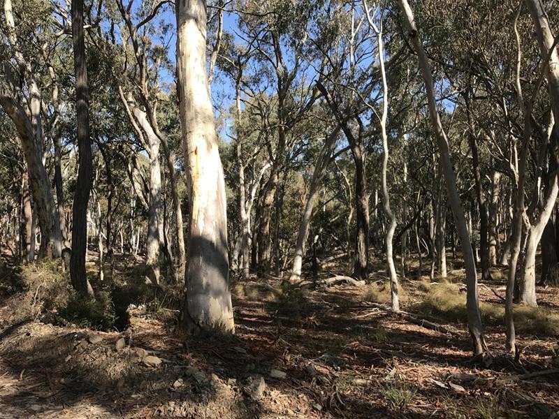 Lots 3 & 49/144 Redbank Road, Triangle Flat NSW 2795