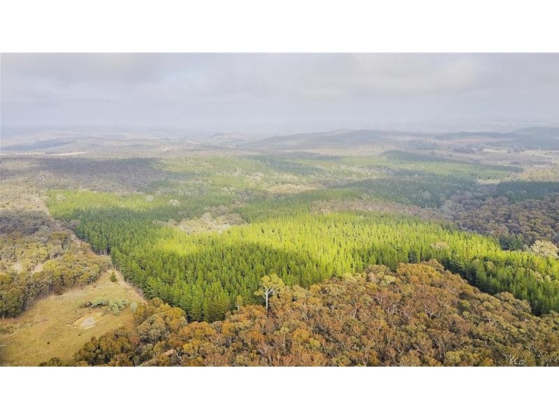 Lots 3 & 49/144 Redbank Road, Triangle Flat NSW 2795