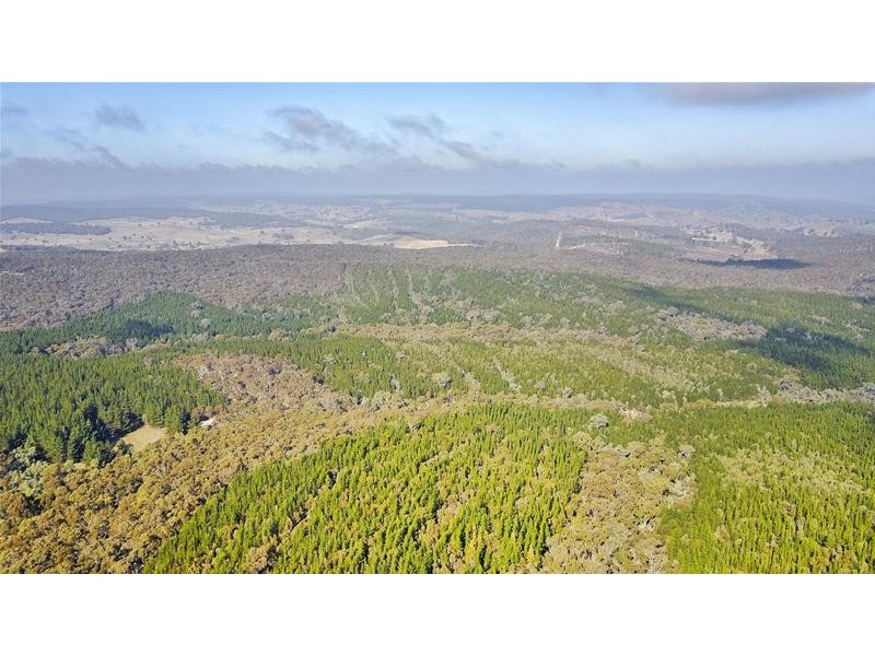 Lots 3 & 49/144 Redbank Road, Triangle Flat NSW 2795