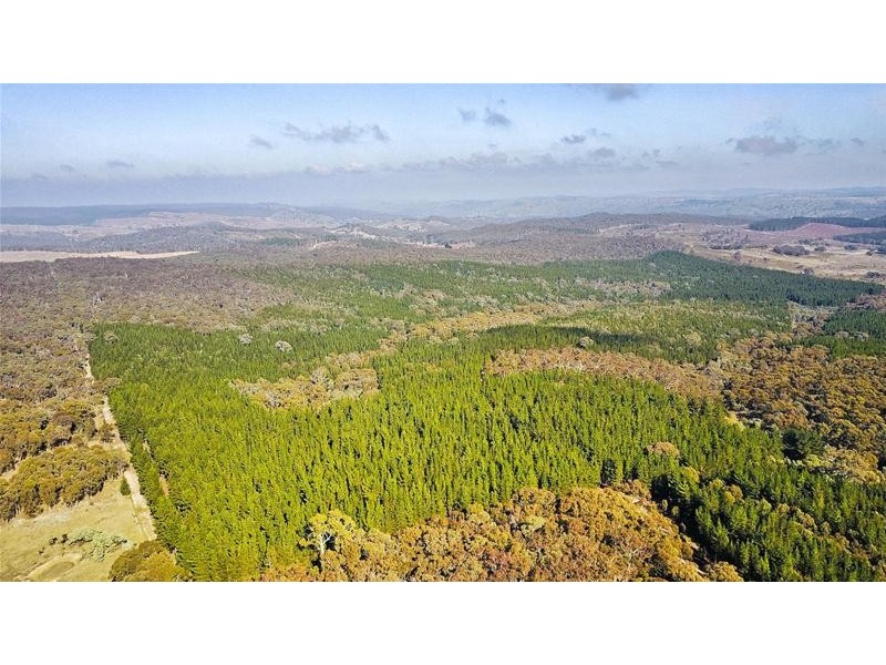 Lots 3 & 49/144 Redbank Road, Triangle Flat NSW 2795