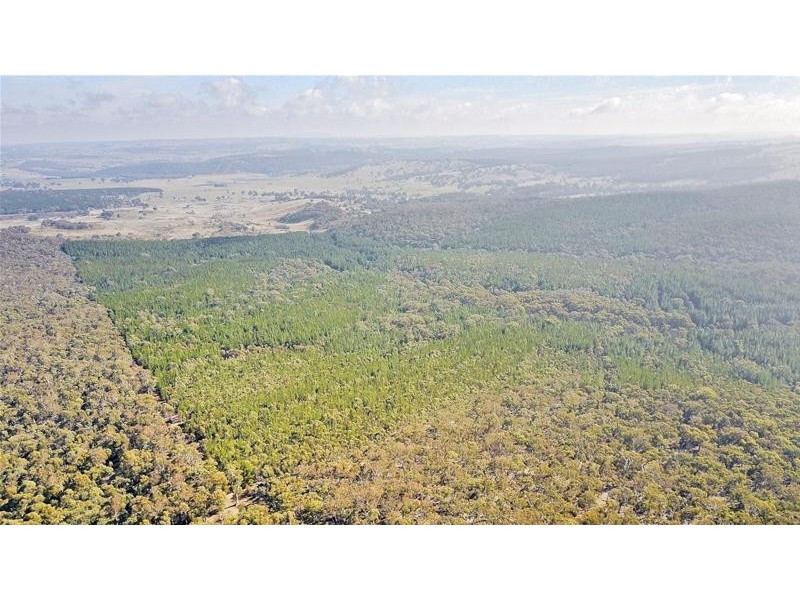 Lots 3 & 49/144 Redbank Road, Triangle Flat NSW 2795