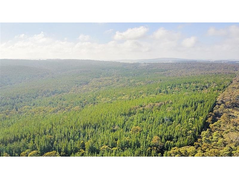 Lots 3 & 49/144 Redbank Road, Triangle Flat NSW 2795