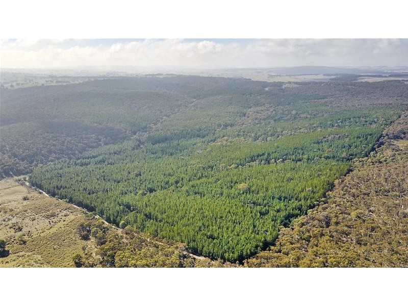 Lots 3 & 49/144 Redbank Road, Triangle Flat NSW 2795