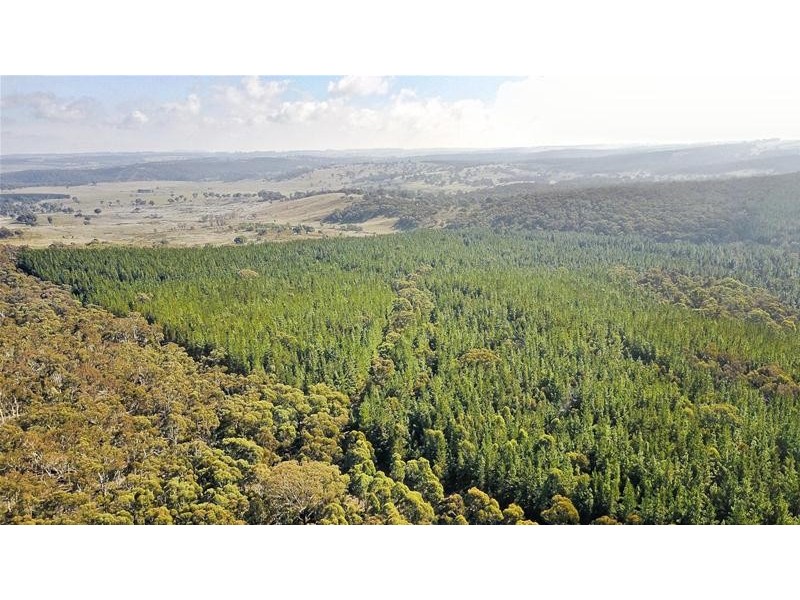 Lots 3 & 49/144 Redbank Road, Triangle Flat NSW 2795