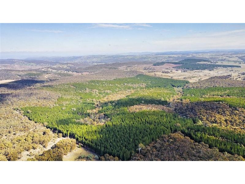 Lots 3 & 49/144 Redbank Road, Triangle Flat NSW 2795