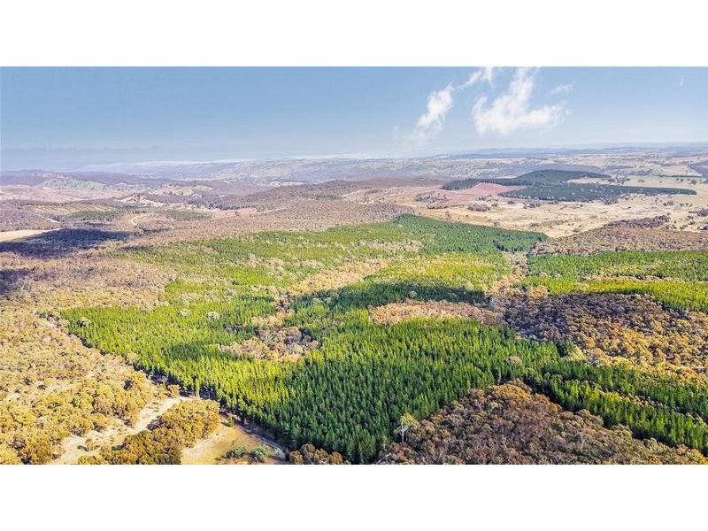 Lots 3 & 49/144 Redbank Road, Triangle Flat NSW 2795